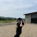 홍성인농장 이미지