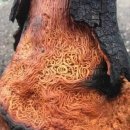 번개PC방 이미지