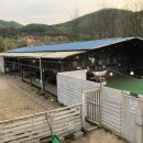 플레이라움(PLAYRAUM) 이미지