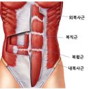 Zerone Gym 이미지