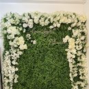 달빛파티룸 이미지