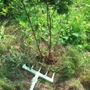 갑석농장 이미지