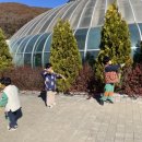 동천한증막 네이버블로그