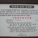 제주 천지연 난대림 티스토리