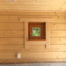 나무시스 이미지