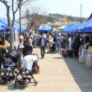 천안상록리조트 이미지