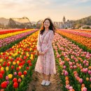 봄빛 안경 | 에버랜드 튤립 페스티벌 후기 - 20대 낮·나이트 포토존 동선 팁