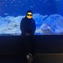 sk텔레컴 앞(38) | 아쿠아플라넷 광교 후기 꿀팁 有 (방학을 맞아 아쿠아리움 가는 20대 여성)