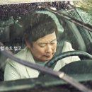오케이스피드 이미지