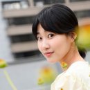 봄날의 햇살 이미지