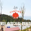숲속솔향기
