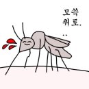 솥툼