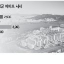 미운오리 이미지