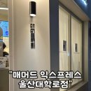 매머드 익스프레스 울산대학로점 | 대용량 커피맛집 ”매머드 익스프레스 울산대학로점” 울과대신상카페추천