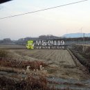 삼태리농장 이미지