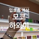 샵EC 네이버블로그