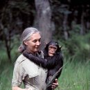 판도라의 상자 | [동물아카데미 후기1] 판도라의 상자는 열렸다