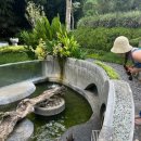 파드마투어 이미지