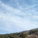 더파인캐슬 이미지