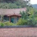 신농당한약국 이미지