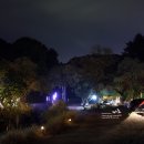 잉꼬다방 | 캠핑블로그 블로거들의 포천캠핑장 포천숲소리캠핑장 캠핑후기