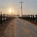 진산농장2 이미지