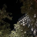 와우탁구클럽 | 고요한 쉼, 정선 파크로쉬 임산부 태교 여행의 모든 것