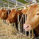 온양2동온천3통경로당 이미지