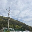 마산 브런치 카페 수국 정원 예쁜 앵지밭골그집 후기