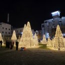 오동동177 이미지