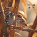 아일렛 펜션 이미지