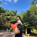 윤가네멸치국수 | 2025 주간일기 #7 _ 네이처파크 할로윈과 K리그1 원정 직관 후기