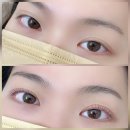 국제빌딩 | 문정동 속눈썹 케라틴펌 &amp; 블랙틴팅 후기! 국제대회 수상한 복구펌 전문 샵