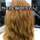 까리노 이미지