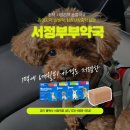 서정온누리약국 이미지