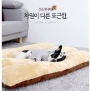 (주)아하토이 이미지