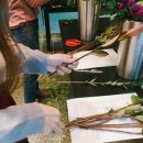 스테이위드유(stay with you) 이미지