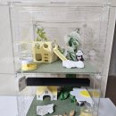 어쩌다게코집사 네이버블로그