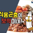 행복한 곤충 이미지
