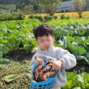 각골농장 이미지