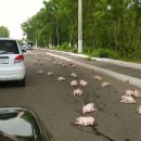 헨젤과 그레텔 이미지