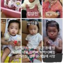 2020년 서울 양천구 정인이 학대 사망 사건 이미지