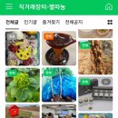 법인라비엘