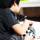 (주)복다