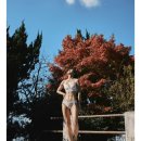 라인빌드 휘트니스 | 수영역 PT 주 4회 운동으로 6개월 만에 바디프로필까지 완료