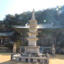 대웅자원 | 용흥사 홍매화와 상주 가볼만한 곳(도림사,왕산역사공원,경상감영공원,충의사,전사벌왕릉,상주박물관...