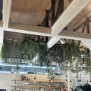 그레인서울(GRAINSEOUL) | [연남동맛집] 그레인서울 연남동 | 내돈내산 주말 느좋 브런치 후기