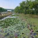 남동체육관 이미지