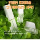 더블인셀덤