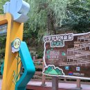 무장애숲 이미지